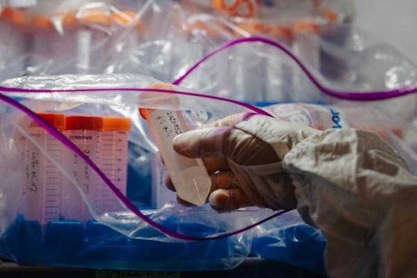 Image: samples in fridge