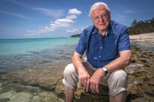 Image: Sir David Attenborough sitting on a rock in front of the Great Barrier Reef.