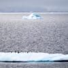 Image: Penguins sitting on Antarctica sea ice which is being ravaged by a triple-whammy of climate chaos