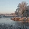 Image: a lake surrounded by trees and grass in cold autumn