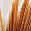 Image: Detailed close-up of vintage book pages
