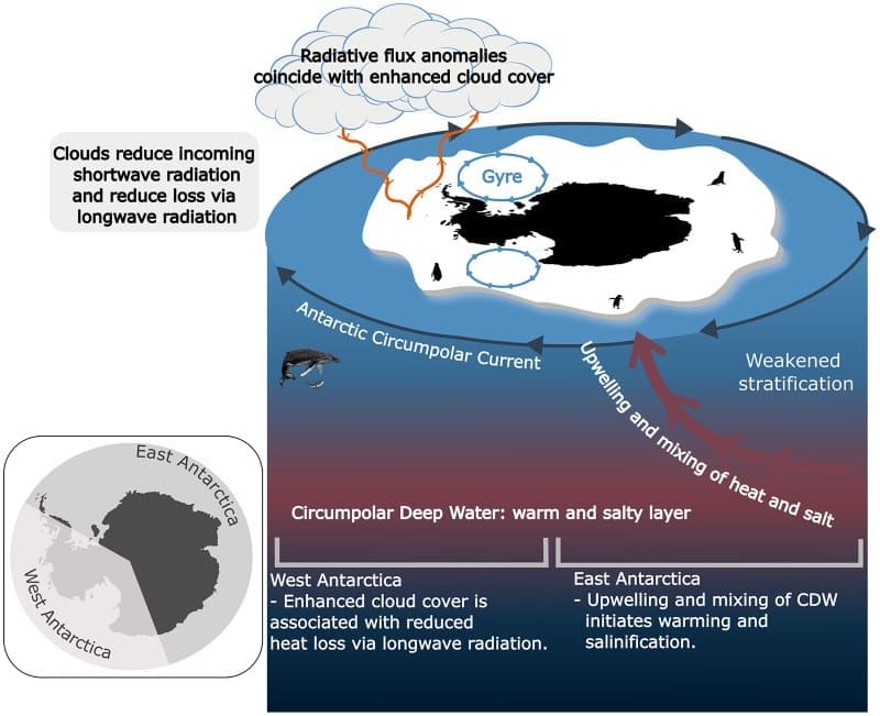 Image: Fig 8 - Summary of processes driving Antarctic sea ice loss - 'Compound drivers of Antarctic sea ice loss and Southern Ocean destratification'