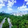 Image: green forest with a road and city buildings