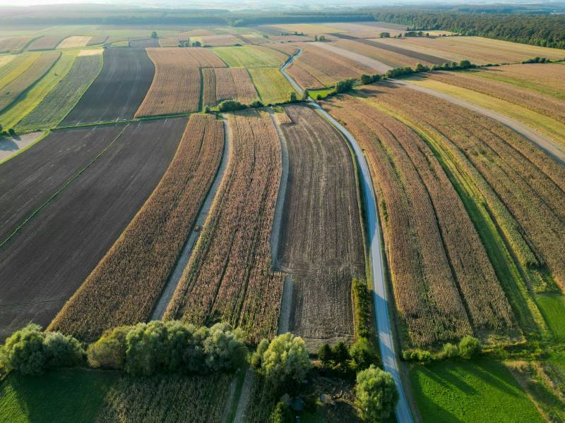 Image: aerial view of agricultural fields and roads in Hercegovac, Croatia (s. Europe food system)