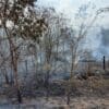 Amazon dry season lengthens as drought risk grows Image: Wildfires in Acre state, in the Brazilian Amazon