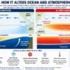 Image: Infographic: Muser Press, based on information from NOAA, WMO, Copernicus Climate Change Service and NASA Earth Observatory