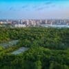 Image: aerial view of Fortaleza, cityscape bordering a lush tropical forest (s. habitability, environment)