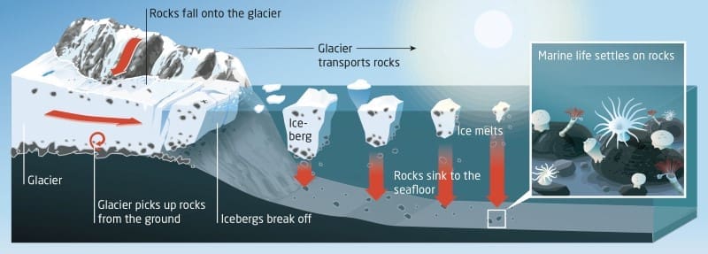 Arctic iceberg traffic has surged since 2000, reshaping deep-sea biodiversity Image: Illustration - 'Amplified Arctic iceberg traffic reshapes benthic biodiversity'