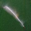 Image: Aerial photograph of an irrigation system watering a green field in Drenthe, Netherlands
