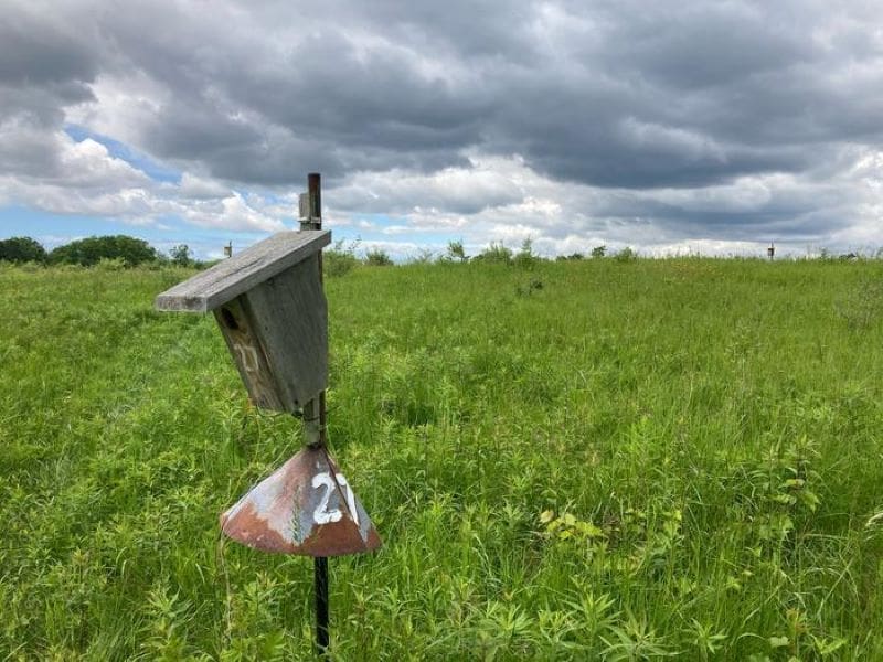 Image: Tree swallow nest box at Long Point Bird Observatory 