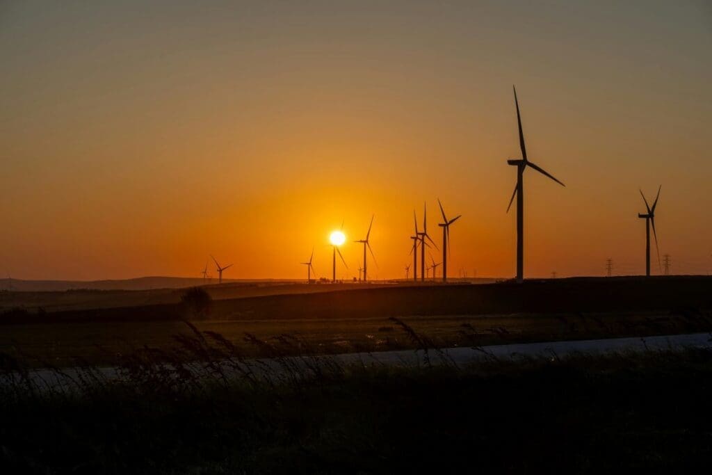 COP31 hosts unveil 'electrification' priority for climate talks Image: Beautiful sunset over a wind farm in Silivri, İstanbul