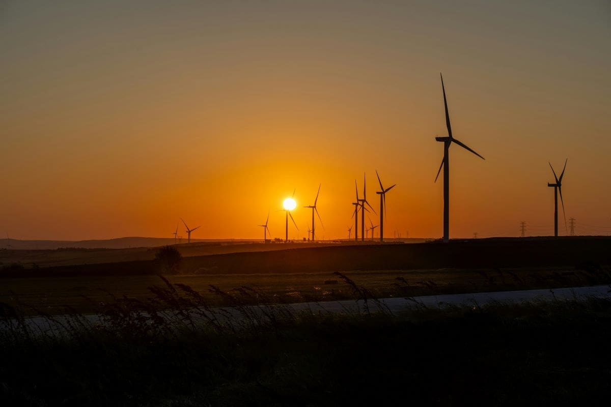 Image: Beautiful sunset over a wind farm in Silivri, İstanbul