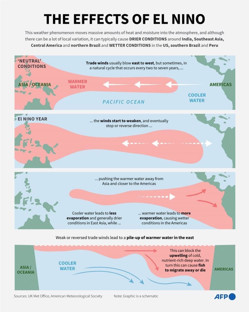 UN warns of strong looming El NiƱo Image: Infographic explainer on the El NiƱo weather phenomenon