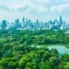 Image: aerial view of a Bangkok city park