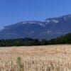 Image: Dry fields (s. climate change, drought)