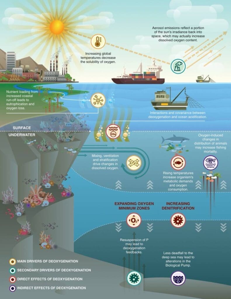 Aquatic deoxygenation threatens Earth system stability Image: Fig. 1 - 'Abundant interactions and feedbacks between aquatic deoxygenation and the other planetary boundaries suggest “unsafe” levels of oxygen loss with far-reaching impacts'