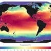 World's oceans break June heat record: EU monitor Image: Graphic - Sea surface temperature (29 June 2026). Data: ERA5