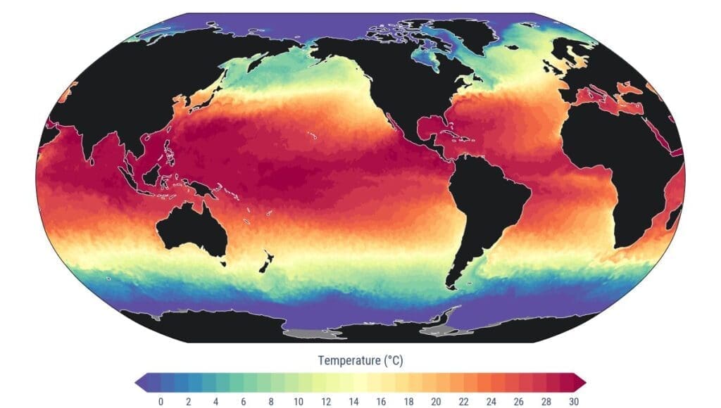 World's oceans break June heat record: EU monitor Image: Graphic - Sea surface temperature (29 June 2026). Data: ERA5