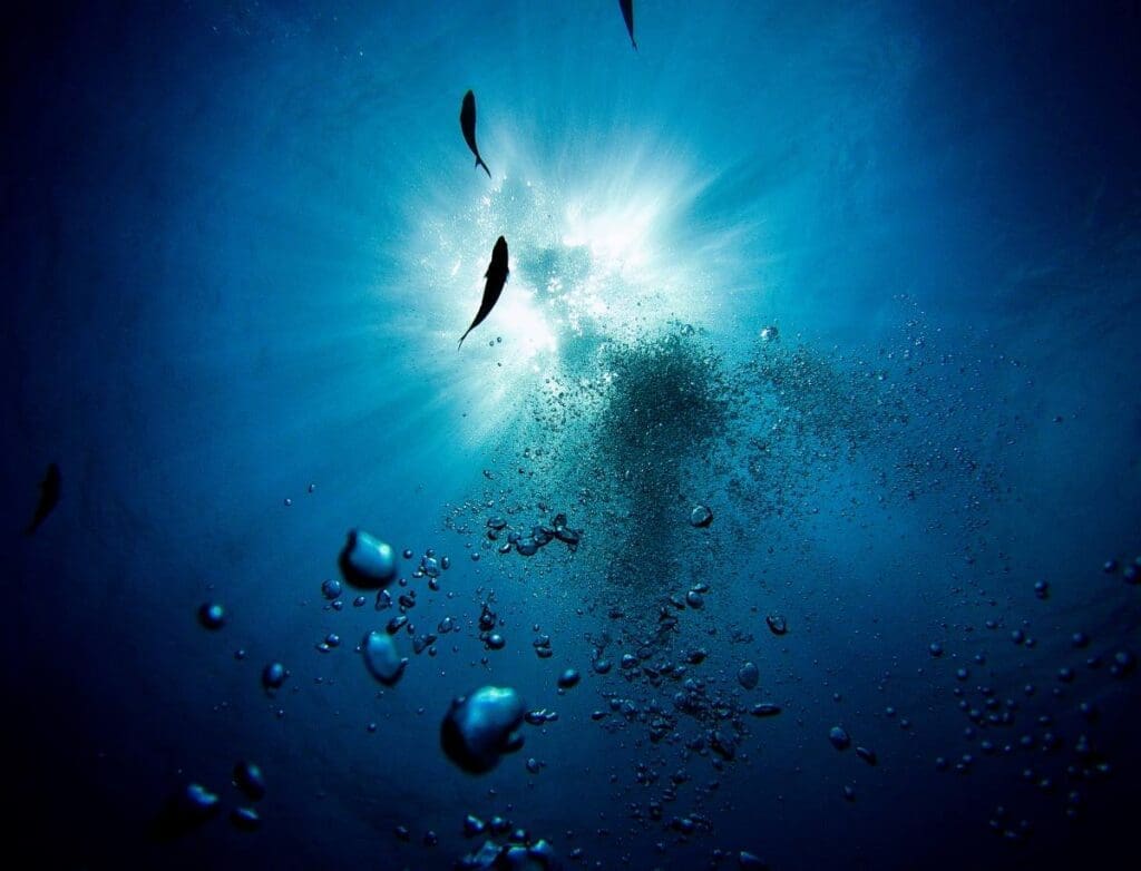 Aquatic deoxygenation threatens Earth system stability Image: group of fish swimming in the water (s. ocean deoxygenation)