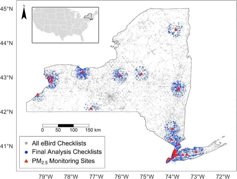 Canadian wildfire smoke linked to changes in New York bird sightings Image: Fig. 3 - Wildfire smoke alters observations of 65% of breeding bird species in New York State (s. Canadian wildfire smoke linked to changes in New York bird sightings)