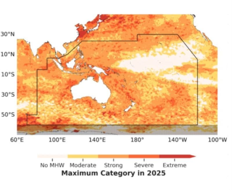 Image: Map of annual maximum MHW category in 2025 for the South-West Pacific region
